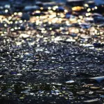 Vantaggi riciclo del vetro: quali sono e come funziona il processo?