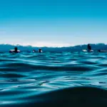 Inquinamento del mare: cause, rischi, rimedi per combatterlo