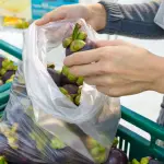 Legge sui sacchetti biodegradabili: facciamo chiarezza