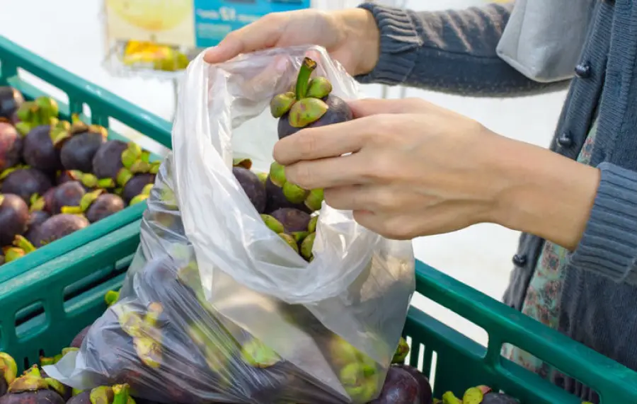 Legge sui sacchetti biodegradabili: facciamo chiarezza