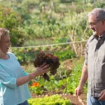 Orto sul balcone: guida pratica alla coltivazione