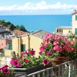 Piante da balcone facili e sempreverdi