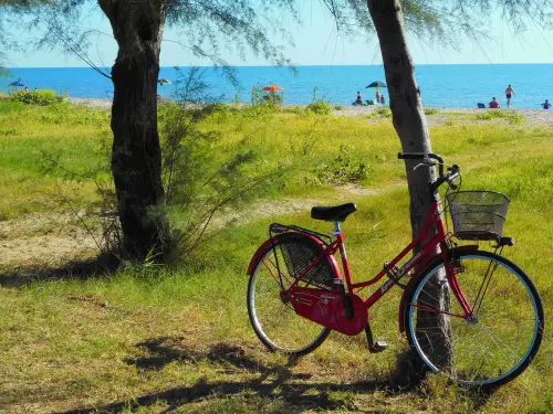 Passeggiate in bicicletta: guida pratica completa