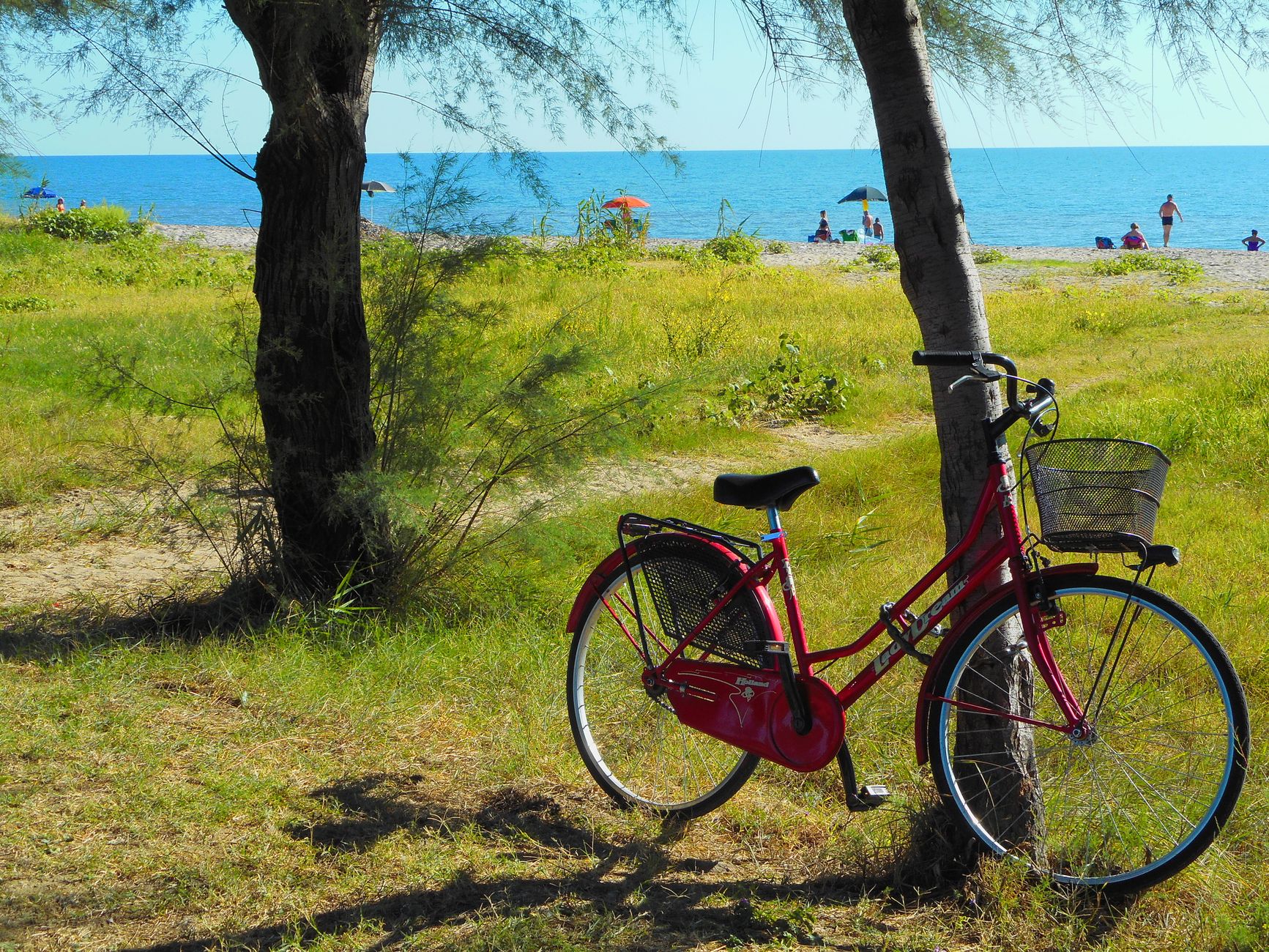 Passeggiate in bicicletta: guida pratica completa