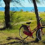 Passeggiate in bicicletta: guida pratica completa