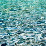 Slogan sull'acqua: campagne per il risparmio idrico