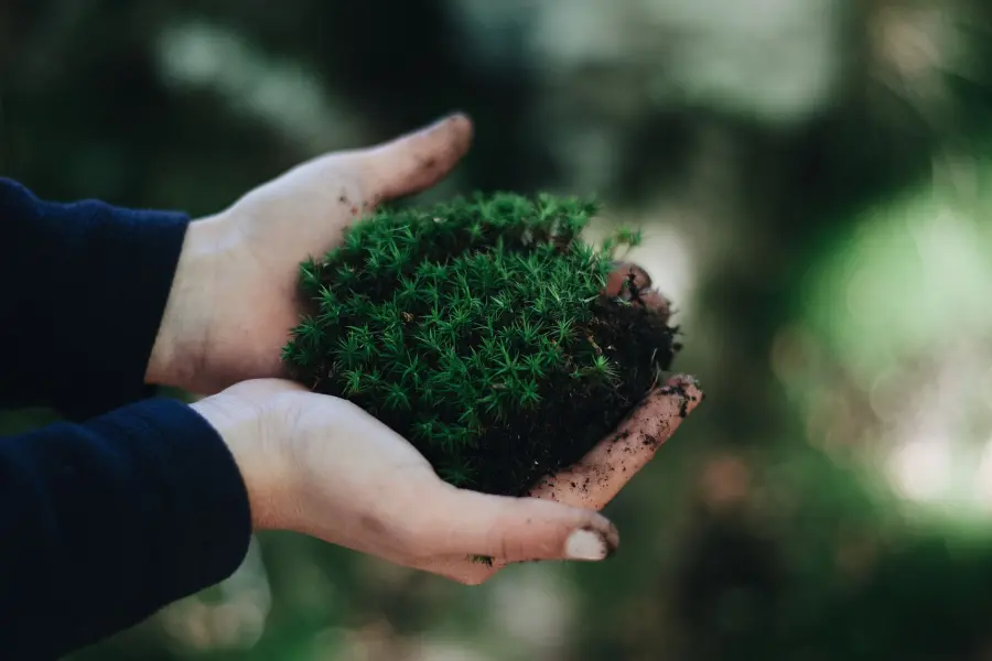 Industria ecosostenibile: criteri e indicatori