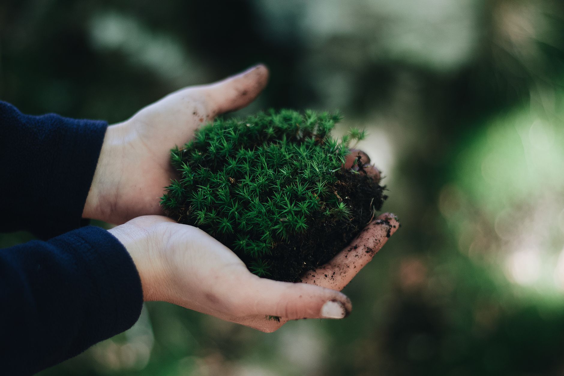 Industria ecosostenibile: criteri e indicatori