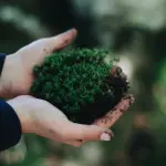 Industria ecosostenibile: criteri e indicatori