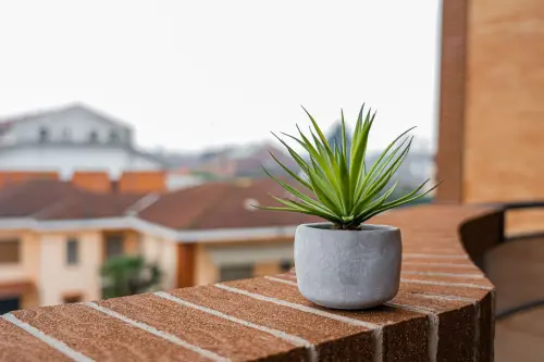 Vasi fai da te riciclo: idee per il verde