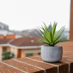 Vasi fai da te riciclo: idee per il verde