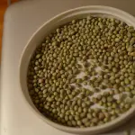 L’Italia apre le porte al business della canapa legale (tra limiti di legge e lotta alla criminalità organizzata)