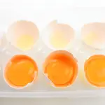 Contenitore per alimenti: come scegliere quello più adatto