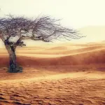 Cambiamenti climatici: quali sono le cause? E le conseguenze?