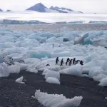 Scioglimento dei ghiacciai: cause e conseguenze di un fenomeno allarmante